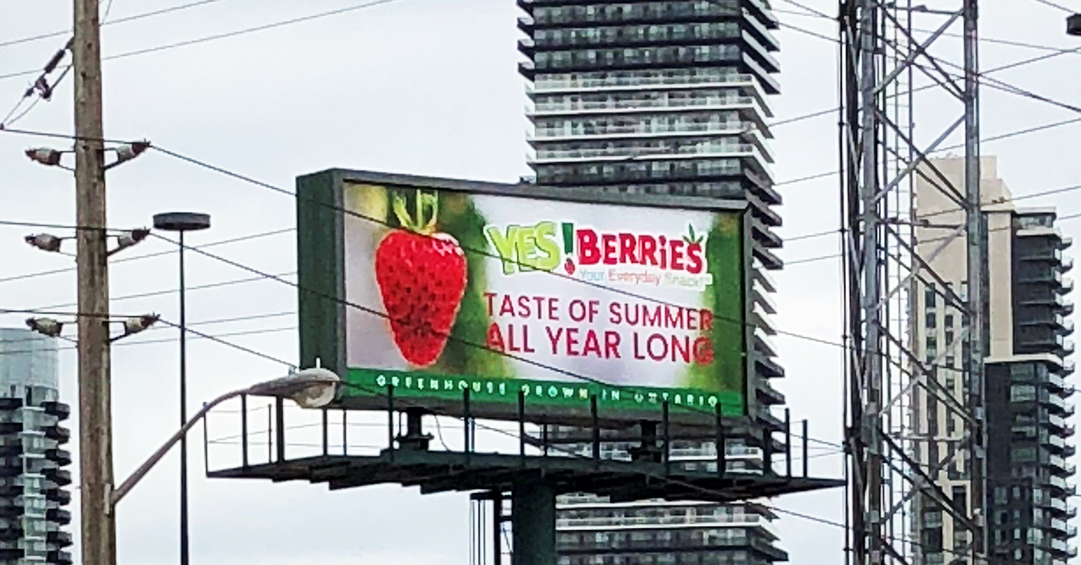 YES!Berries strawberries billboard in Toronto
