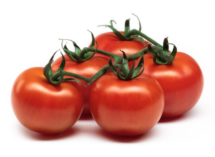 Five tomatoes from a vine group together on a blank white background